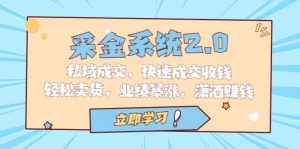 采金 系统2.0，私域成交，快速成交收钱，轻松卖货，业绩暴涨，潇洒赚钱倾城领域-倾城领域