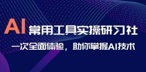 AI-常用工具实操研习社，一次全面体验，助你掌握AI技术倾城领域-倾城领域