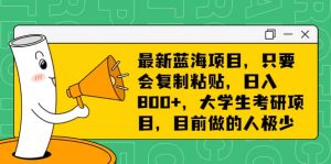 最新蓝海项目，只要会复制粘贴，日入800+，大学生考研项目，目前做的人极少倾城领域-倾城领域