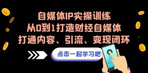 自媒体IP实操训练，从0到1打造财经自媒体，打通内容、引流、变现闭环倾城领域-倾城领域
