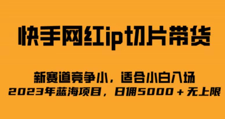 快手网红ip切片新赛道，竞争小事，适合小白 2023蓝海项目倾城领域-倾城领域
