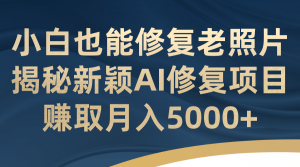 小白也能修复老照片！揭秘新颖AI修复项目，赚取月入5000+倾城领域-倾城领域