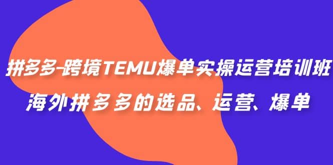 拼多多-跨境TEMU爆单实操运营培训班，海外拼多多的选品、运营、爆单倾城领域-倾城领域
