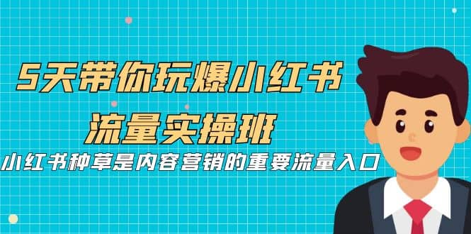 5天带你玩爆小红书流量实操班，小红书种草是内容营销的重要流量入口倾城领域-倾城领域
