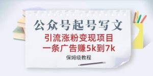 公众号起号写文、引流涨粉变现项目，一条广告赚5k到7k，保姆级教程倾城领域-倾城领域