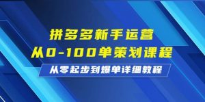 拼多多新手运营从0-100单策划课程，从零起步到爆单详细教程倾城领域-倾城领域