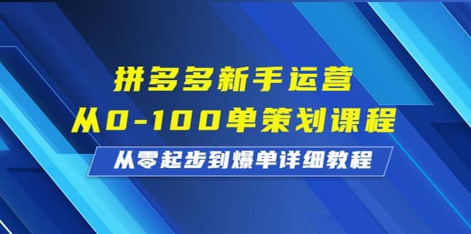 拼多多新手运营从0-100单策划课程，从零起步到爆单详细教程倾城领域-倾城领域