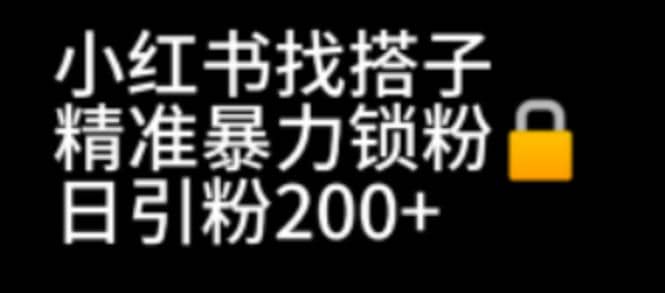 小红书找搭子暴力精准锁粉+引流日引200+精准粉倾城领域-倾城领域