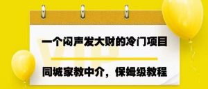 一个闷声发大财的冷门项目，同城家教中介，操作简单，一个月变现7000+，保姆级教程倾城领域-倾城领域