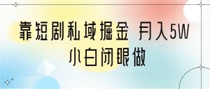 靠短剧私域掘金 月入5W 小白闭眼做（教程+2T资料）倾城领域-倾城领域