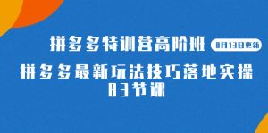 2023拼多多·特训营高阶班【9月13日更新】拼多多最新玩法技巧落地实操-83节倾城领域-倾城领域