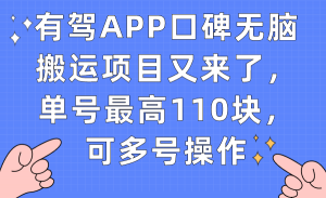 有驾APP口碑无脑搬运项目又来了，单号最高110块，可多号操作倾城领域-倾城领域