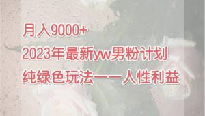 月入9000+2023年9月最新yw男粉计划绿色玩法——人性之利益倾城领域-倾城领域