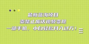 最新蓝海项目，靠禁止废话视频变现，一部手机，小白轻松月入过万！倾城领域-倾城领域