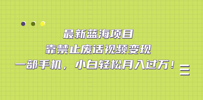 最新蓝海项目，靠禁止废话视频变现，一部手机，小白轻松月入过万！倾城领域-倾城领域