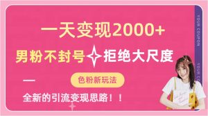 一天收款2000元，男粉不封号拒绝大尺度-色粉全新的变现方法倾城领域-倾城领域