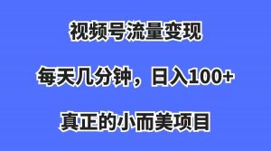视频号流量变现，每天几分钟，收入100+，真正的小而美项目倾城领域-倾城领域