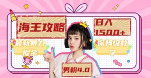 最新男粉4.0海王暴力掘金玩法，一天变现1500+（附1254G素材）倾城领域-倾城领域