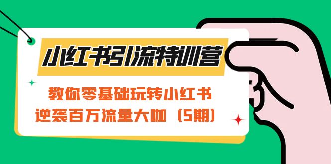 小红书引流特训营-第5期：教你零基础玩转小红书，逆袭百万流量大咖倾城领域-倾城领域