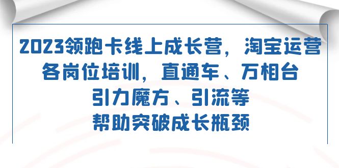 2023领跑·卡 线上成长营 淘宝运营各岗位培训 直通车 万相台 引力魔方 引流倾城领域-倾城领域