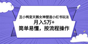 丑小鸭变天鹅女神塑造小红书玩法，月入5万+，简单易懂，按流程操作倾城领域-倾城领域