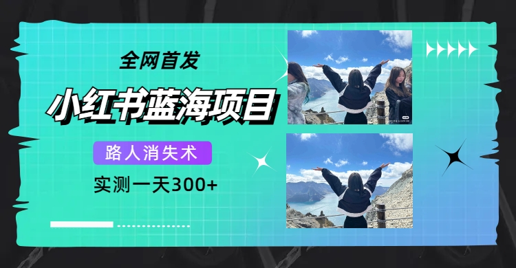 全网首发，小红书蓝海项目，路人消失术，实测一天300+（教程+工具）倾城领域-倾城领域
