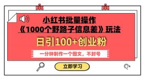 小红书批量操作《1000个野路子信息差》玩法 日引100+创业粉 一分钟一个图文倾城领域-倾城领域