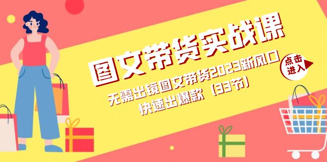 图文带货实战课：无需出镜图文带货2023新风口，快速出爆款（33节）倾城领域-倾城领域
