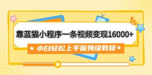 靠蓝猫小程序一条视频变现16000+小白轻松上手保姆级教程（附166G资料素材）倾城领域-倾城领域