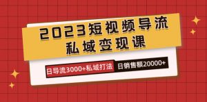 2023短视频导流·私域变现课，日导流3000+私域打法  日销售额2w+倾城领域-倾城领域