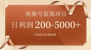 视频号蓝海项目，0基础在家也能做，一天200-5000+【附266G资料】倾城领域-倾城领域