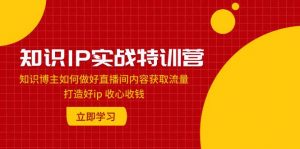 知识IP实战特训营：知识博主如何做好直播间内容获取流量 打造好ip 收心收钱倾城领域-倾城领域