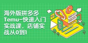 海外版拼多多Temu-快速入门实战课，店铺实战从0到1（12节课）倾城领域-倾城领域