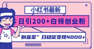 小红书最新日引200+创业粉”割韭菜“日稳定变现4000+实操教程！倾城领域-倾城领域