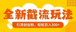 全新截流玩法，精准引流创业粉，轻松日入300+倾城领域-倾城领域