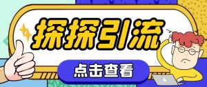 探探色粉引流必备神器多功能高效引流，解放双手全自动引流【引流脚本+使…倾城领域-倾城领域
