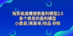 淘系极速爆搜索盈利模型2.0，各个类目的盈利模型，小类目/高客单/标品 非标倾城领域-倾城领域