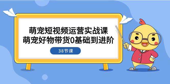 萌宠·短视频运营实战课:萌宠好物带货0基础到进阶(38节课)倾城领域-倾城领域
