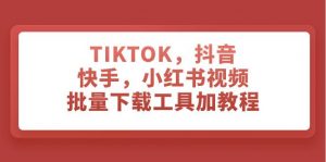 TIKTOK，抖音，快手，小红书视频批量下载工具加教程倾城领域-倾城领域