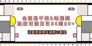 全网最干的b站视频独家引流日引50到80+流量视频很长请耐心看完倾城领域-倾城领域