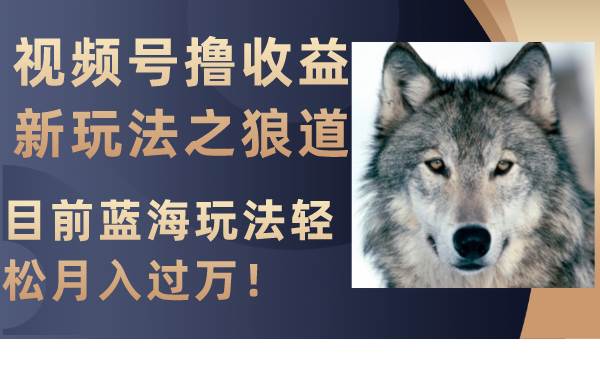 视频号撸收益新玩法之狼道，目前蓝海玩法轻松月入过万！倾城领域-倾城领域