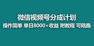 【蓝海项目】视频号分成计划，单天收益8000+，附玩法教程！可陪跑倾城领域-倾城领域