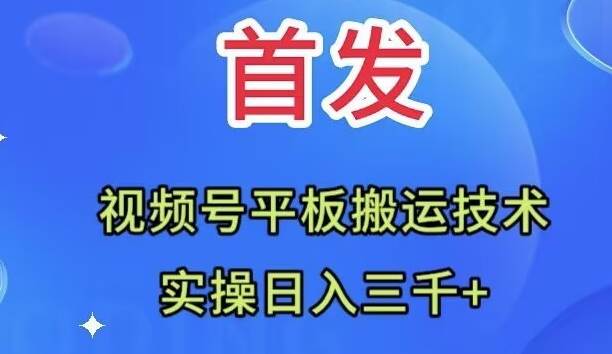全网首发：视频号平板搬运技术，实操日入三千＋倾城领域-倾城领域