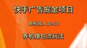 快手极速版广告掘金项目，养机流玩法，单机单日30—50倾城领域-倾城领域