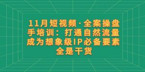 11月短视频·全案操盘手培训：打通自然流量 成为想象级IP必备要素 全是干货倾城领域-倾城领域