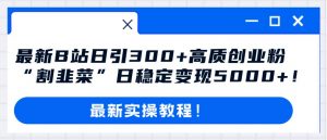 最新B站日引300+高质创业粉教程！“割韭菜”日稳定变现5000+！倾城领域-倾城领域