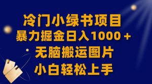 【全网首发】冷门小绿书暴力掘金日入1000＋，无脑搬运图片小白轻松上手倾城领域-倾城领域