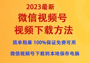 微信视频号视频下载方法（2023最新），亲情奉送『无需付费任意下载』，100%保证免费可用倾城领域-倾城领域