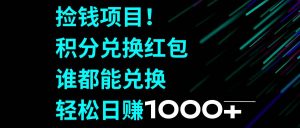 捡钱项目！积分兑换红包，谁都能兑换，轻松日赚1000+倾城领域-倾城领域