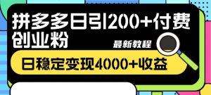 拼多多日引200+付费创业粉，日稳定变现4000+收益最新教程倾城领域-倾城领域